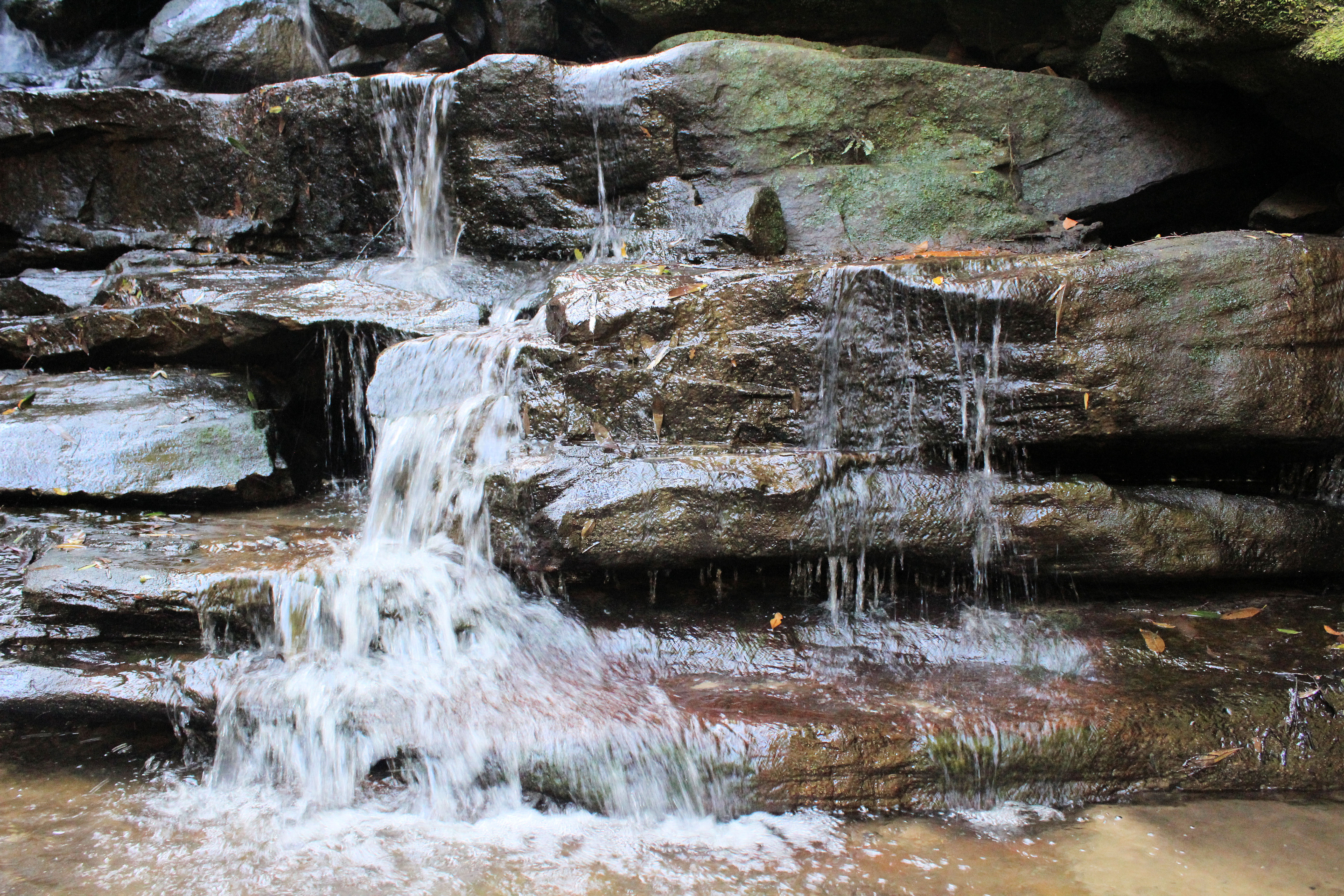 Somersby Falls Central Coast New South Wales