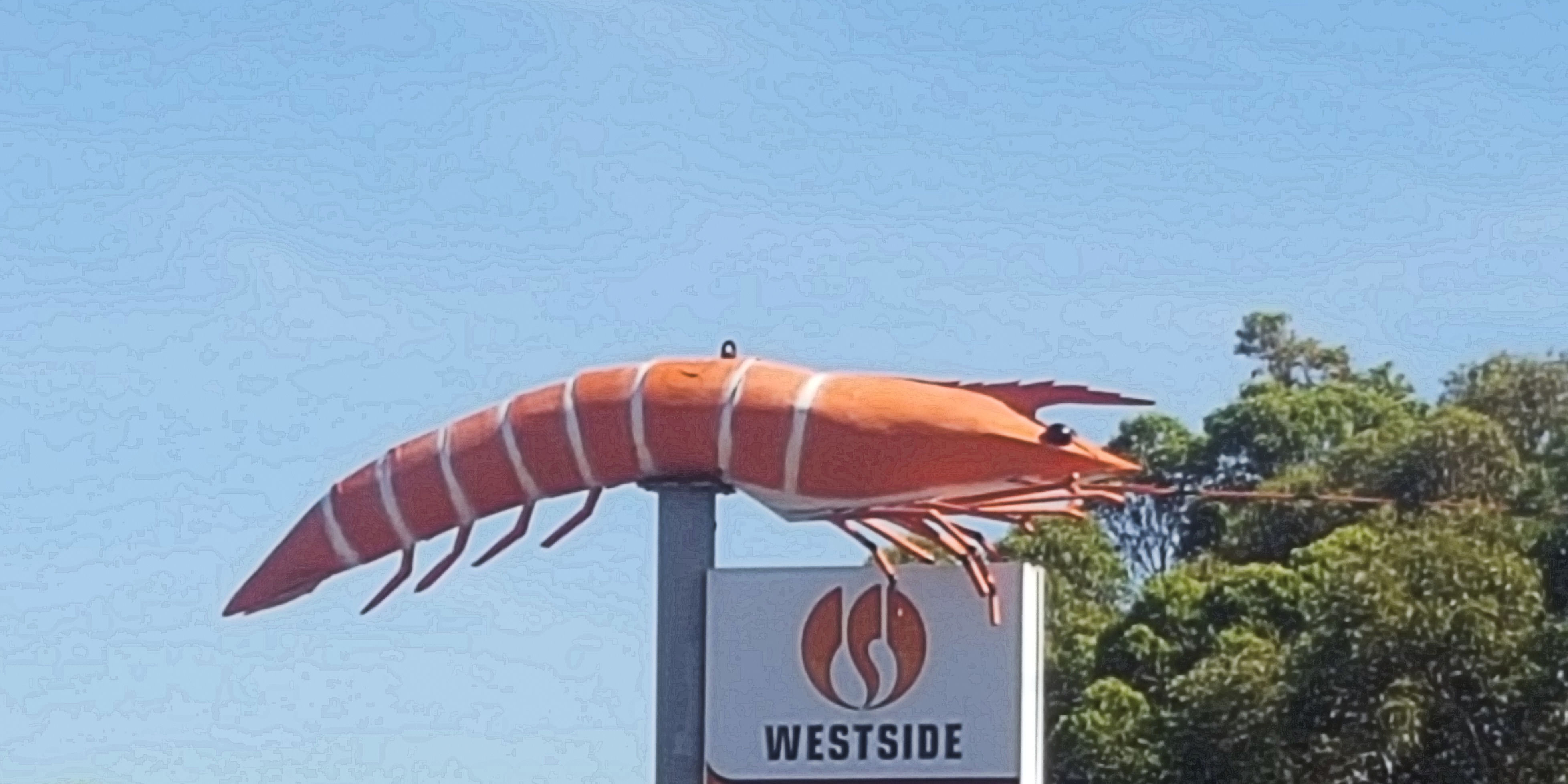 The Big Prawn