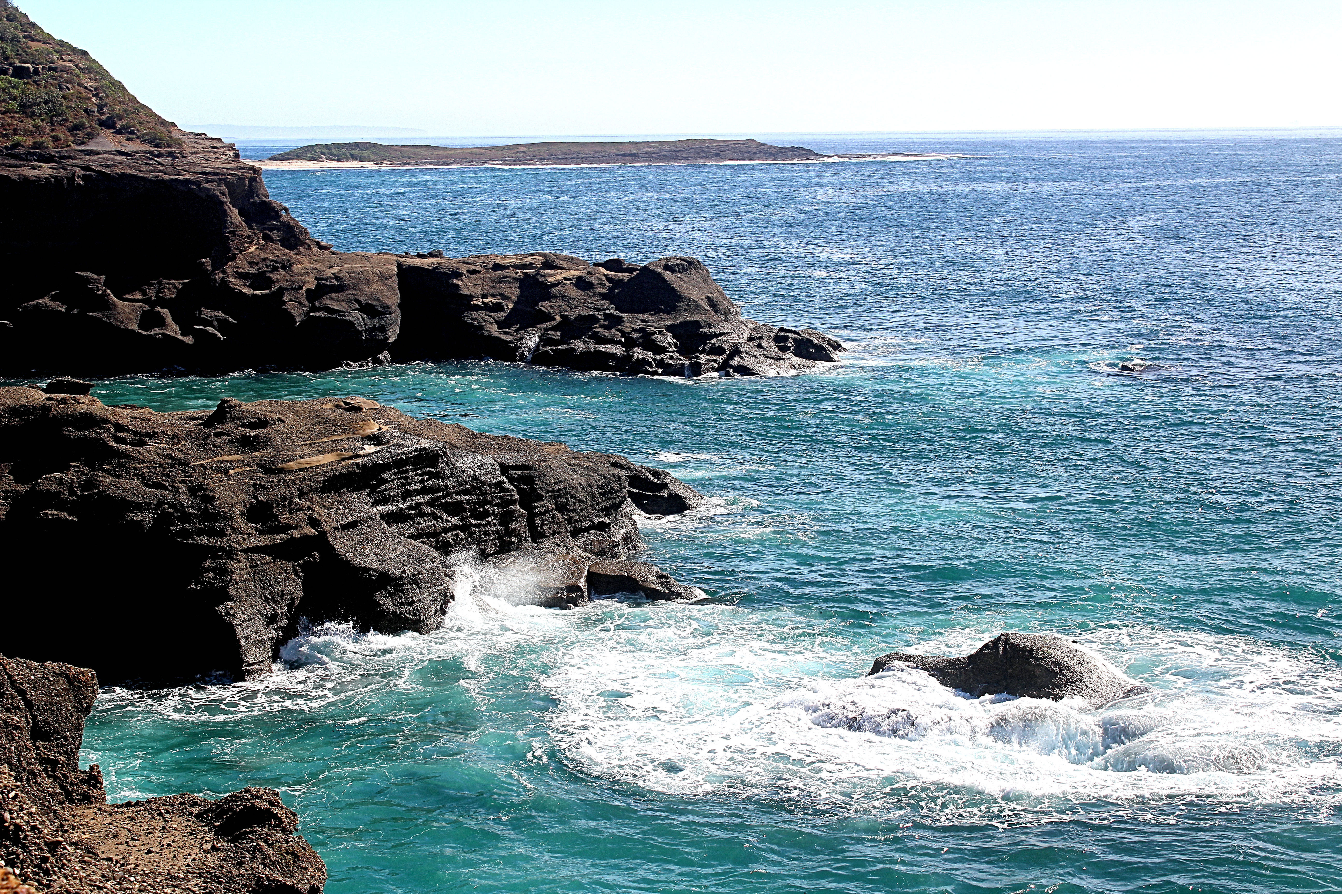 Snapper Point