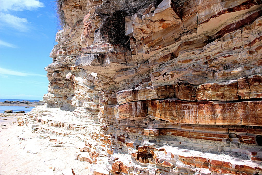 Volcanic Tuff in the Cliff at at Reid's Mistake