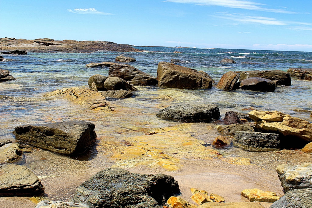 Reid's Mistake Rock Platform