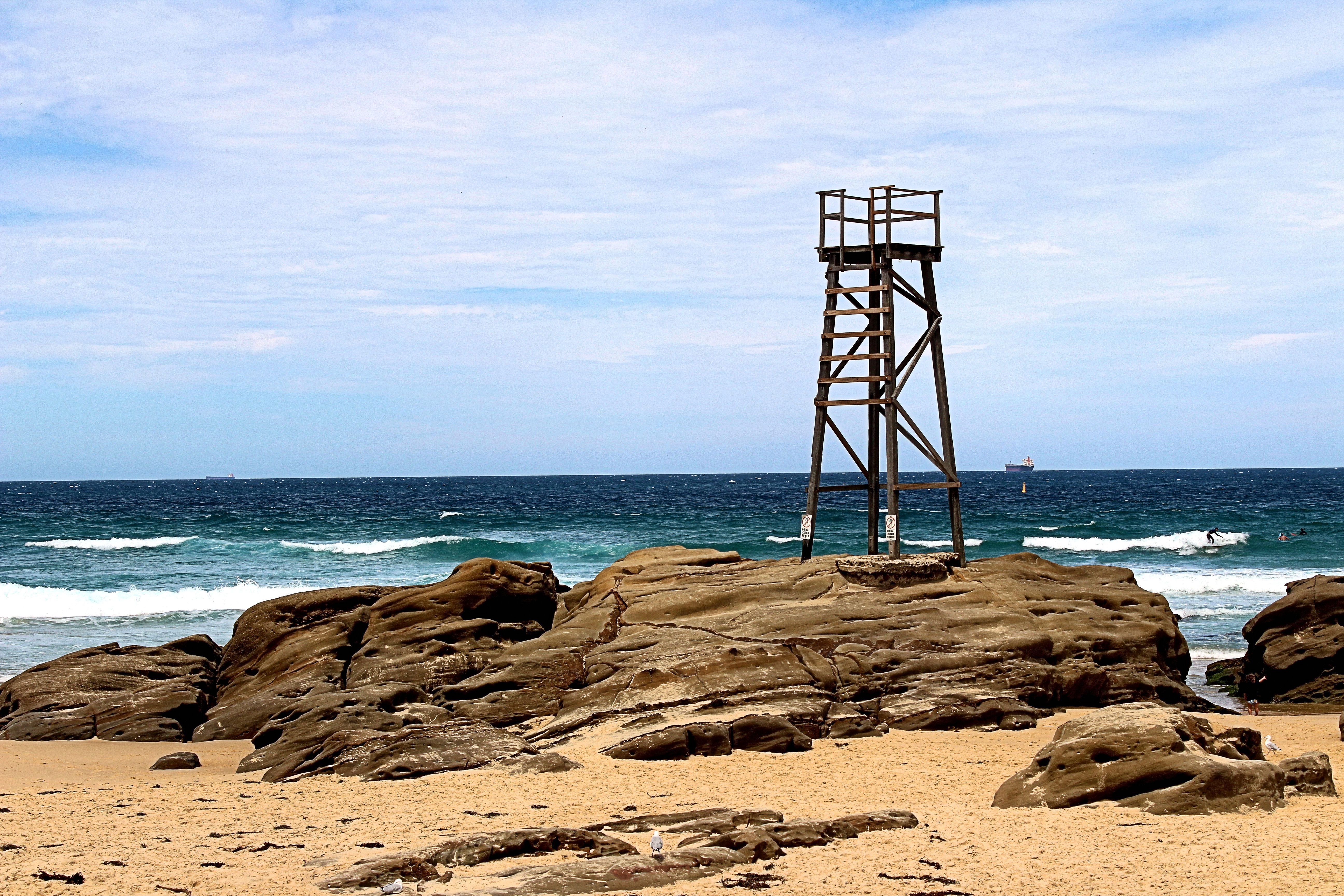 Redhead Beach Shark Tower