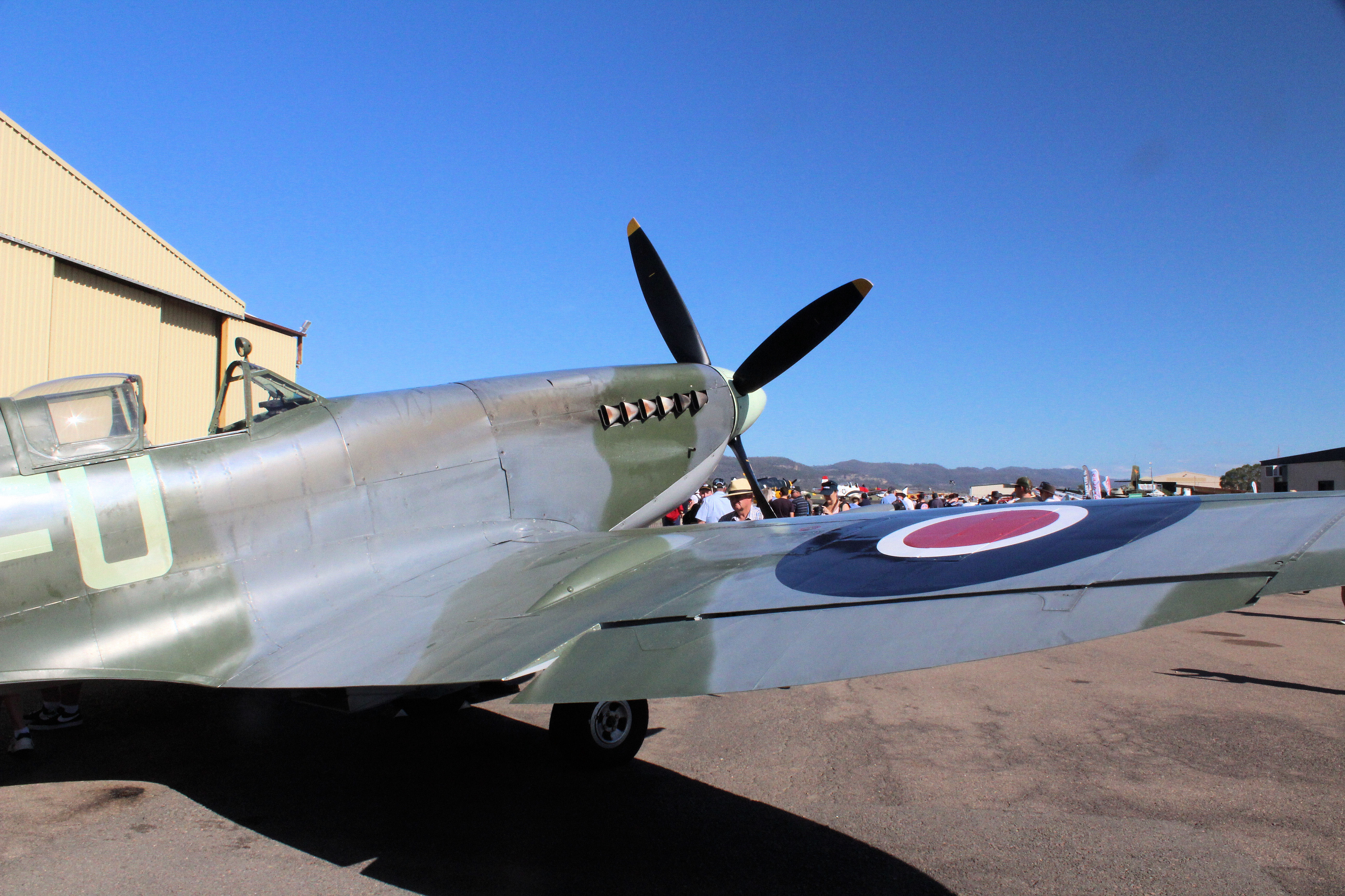 Supermarine Spitfire VIII