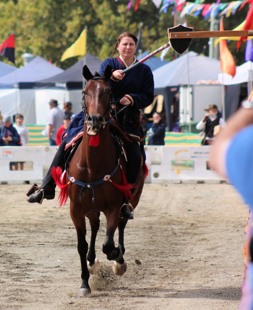 Mounted Knight Charging Target