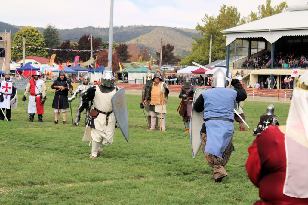 Medieval Knights