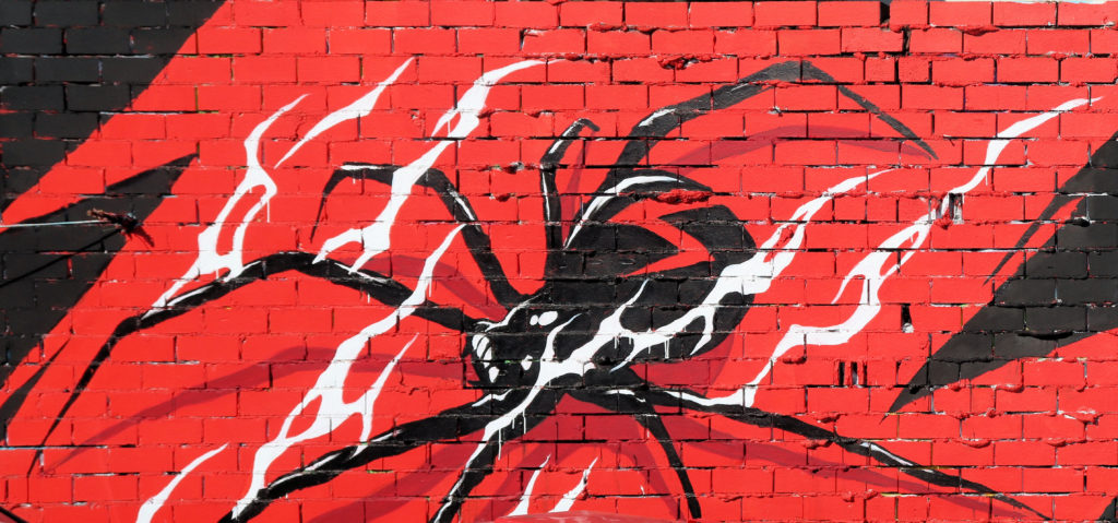 Redback Spider Newtown Street Art Sydney Australia www.destinationsjourney.com