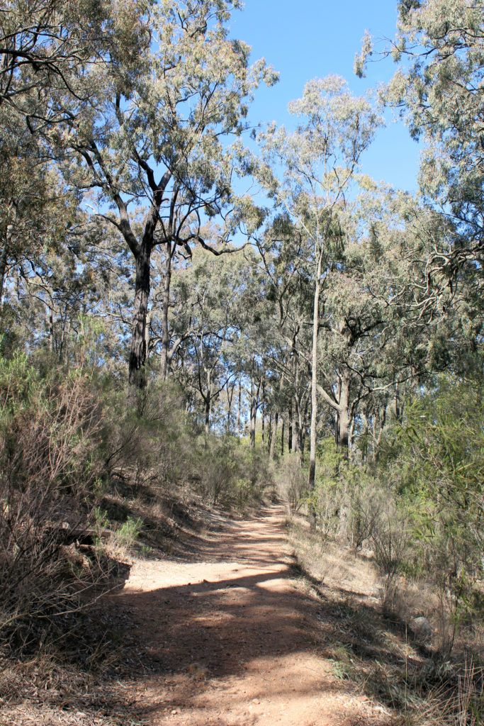 Walking Track Burning Mountain Nature Reserve Wingen NSW Australia www.destinationsjourney.com