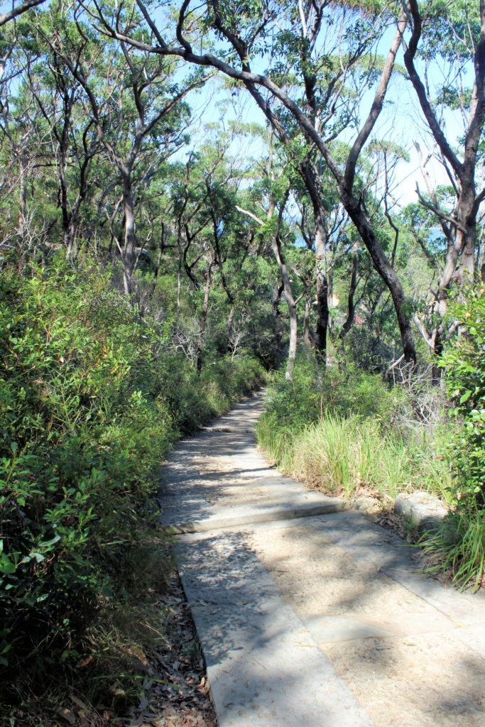 Track to Barrenjoey Lighthouse Palm Beach NSW Australia www.destinationsjourney.com