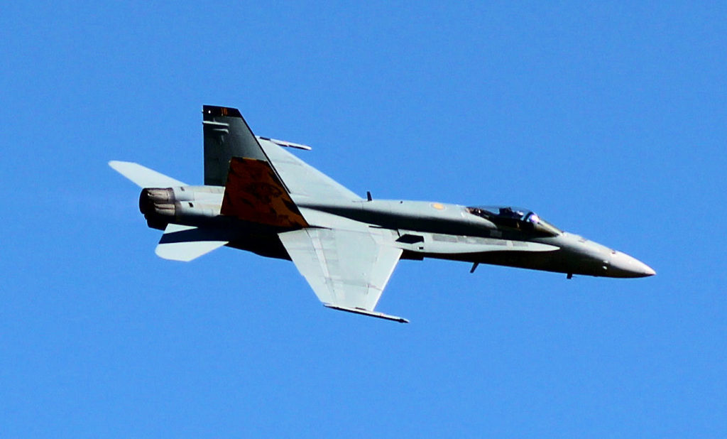 McDonnell Douglas F/A-18 Hornet  Wings Over Illawarra 2018 www.destinationsjourney.com