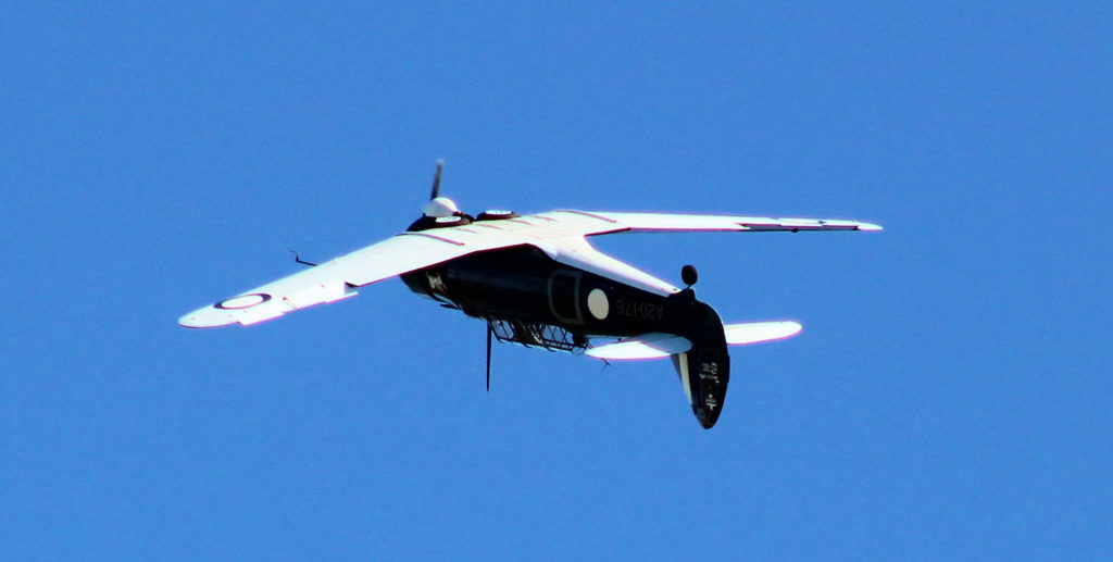 CAC CA-3 Wirraway Wings Over Illawarra 2018 www.destinationsjourney.com