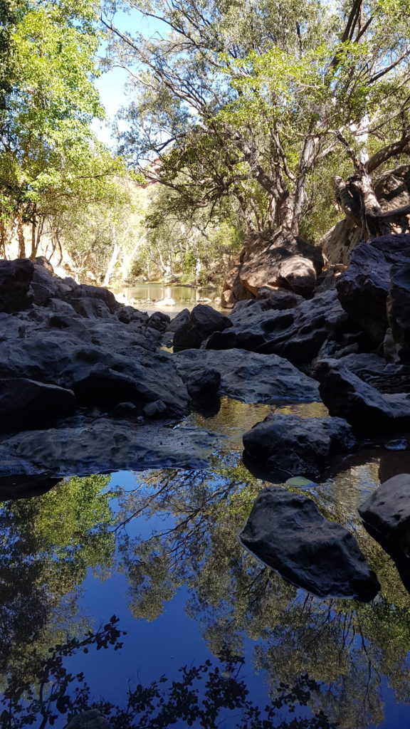 Tunnel Creek
Four-Wheel Drive Kimberley Safari