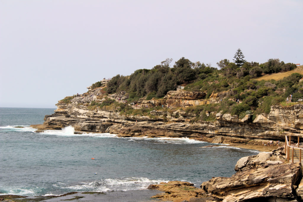 Bondi to Bronte Coastal Walk Bondi Beach Sydney Australia