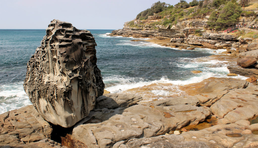 Honey Comb Weathered Rock Bondi Beach Sydney Australia