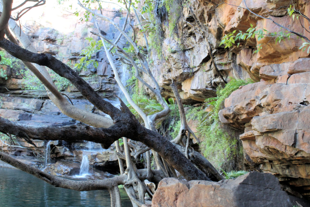 Galvans Gorge Four Wheel-Drive Kimberley Safari