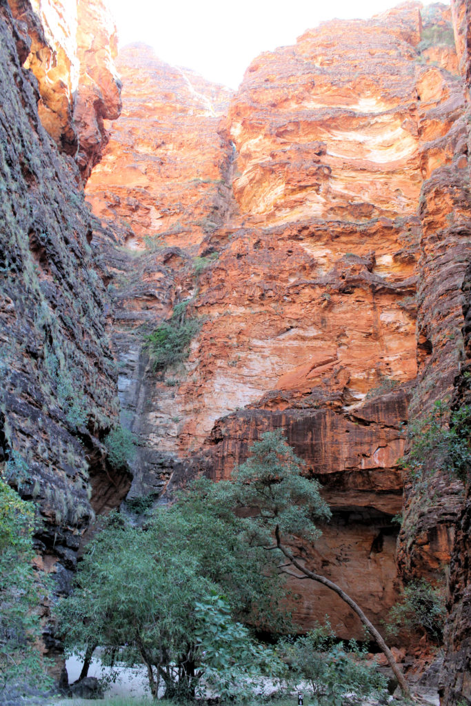 The Bungle Bungles Four-Wheel Drive Kimberley Safari