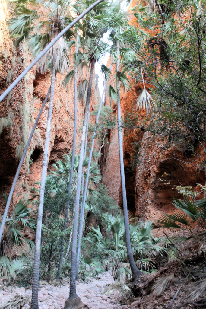 Echidna Chasm Bungle Bungles Four-Wheel Drive Kimberley Safari