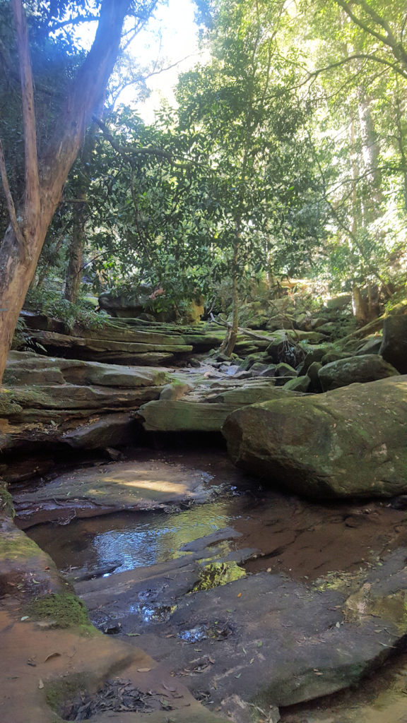 Somersby Falls Brisbane Waters National Park