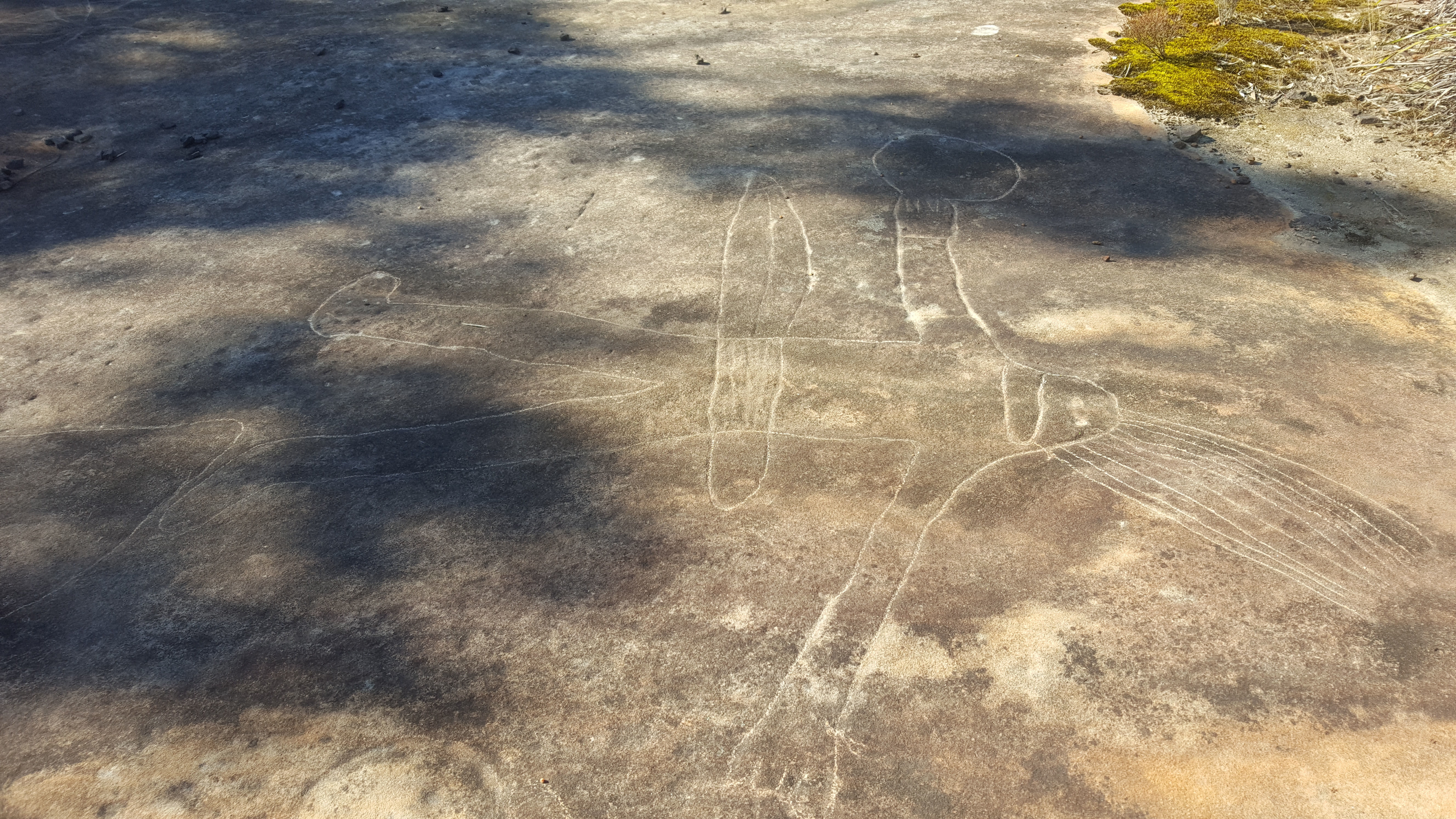 Aboriginal Ancestral Hero Rock Art at Bulgandry Aboriginal Art Site Brisbane Waters National Park