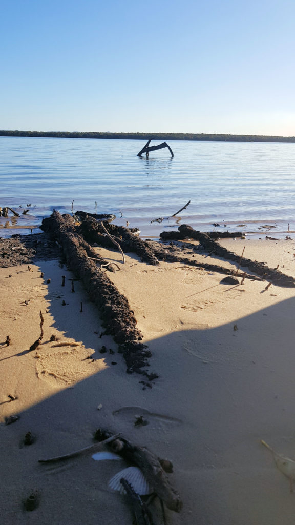 Remains of the Ajax Hunter Wetlands National Park With School of Yak Kayak Tours Hunter Wetlands National Park Kayaking www.destinationsjourney.com