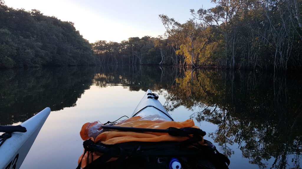 Hunter Wetlands National Park With School of Yak Kayak Tours Hunter Wetlands National Park Kayaking www.destinationsjourney.com