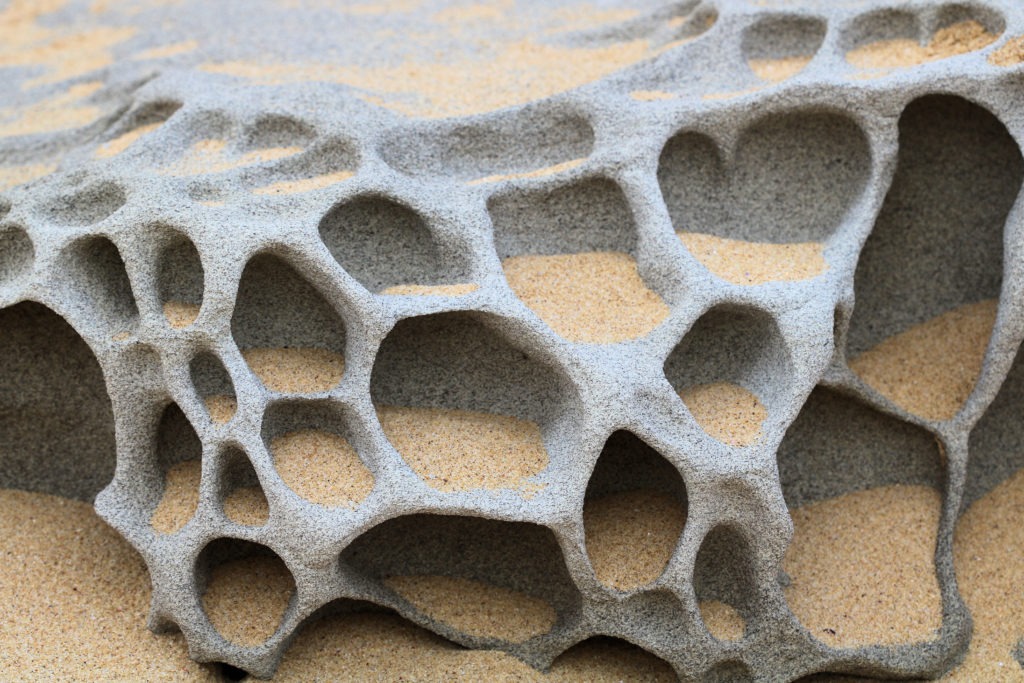 Honeycomb Rock Weathering Maitland Bay Track Bouddi National Park