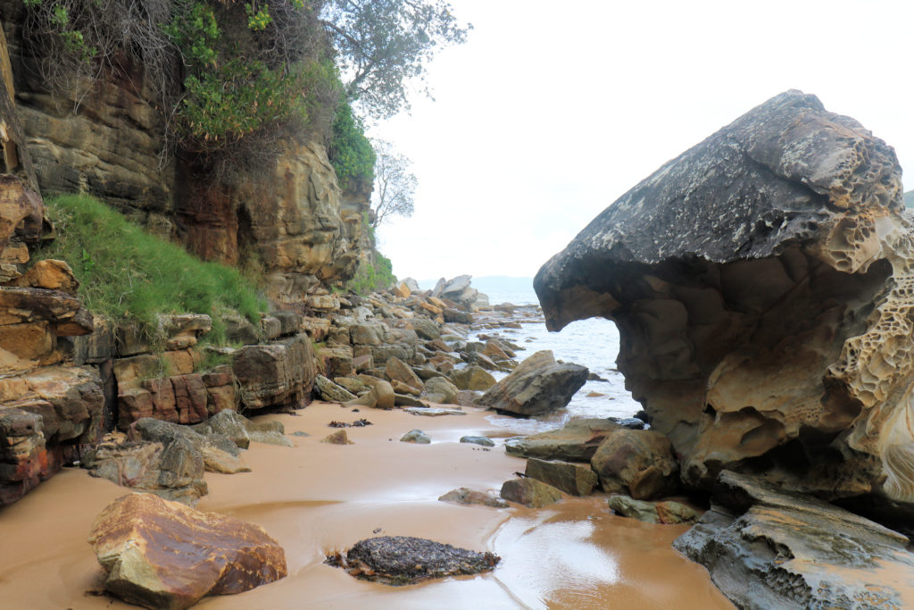 Bouddi Point Maitland Bay Track Bouddi National Park