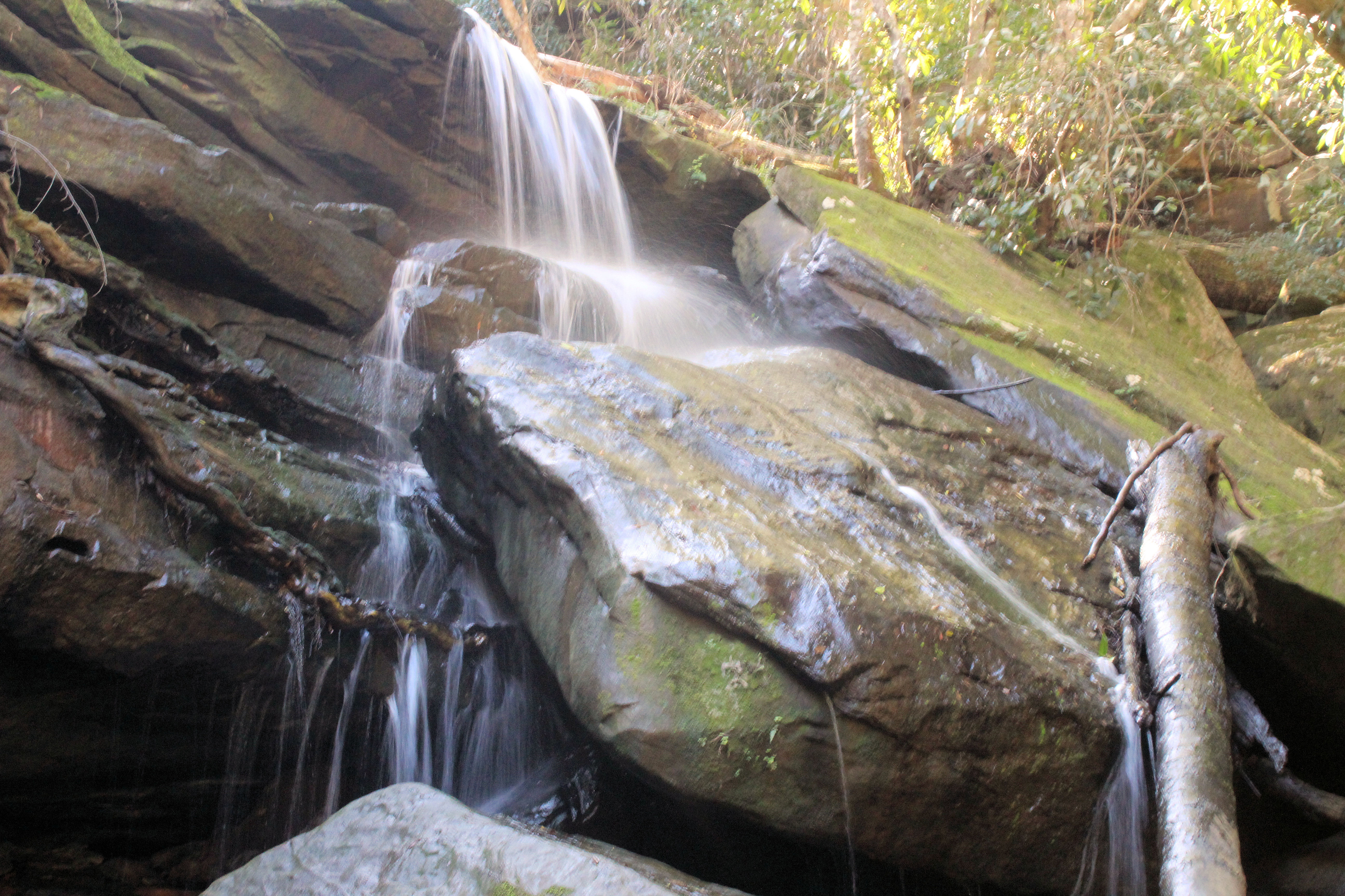 Somersby Falls Brisbane Waters National Park