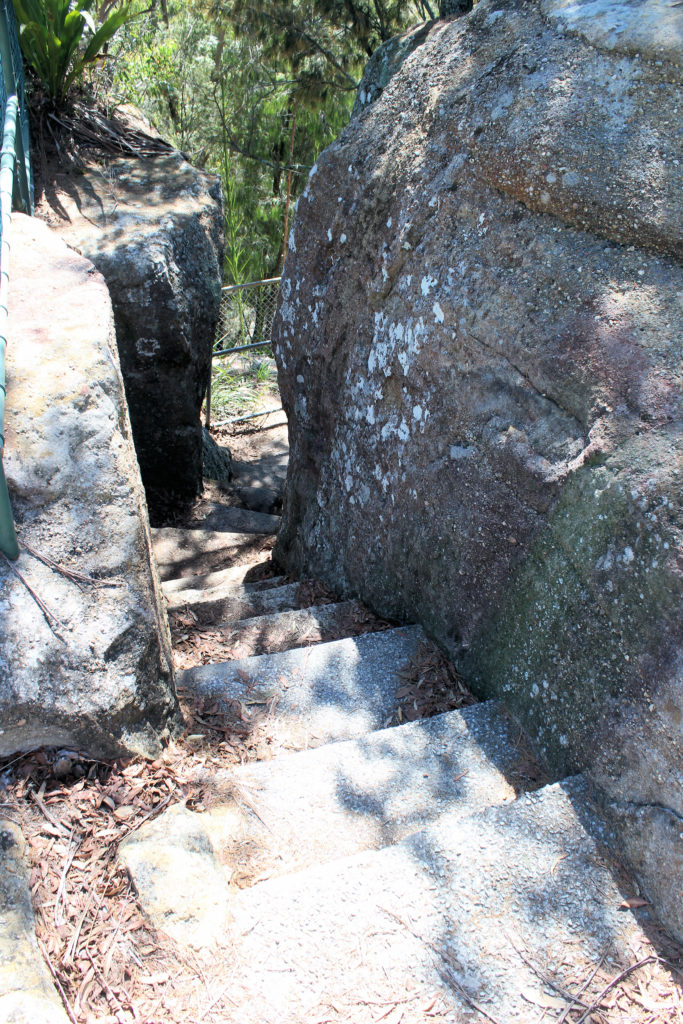 Steps Mount Sugarloaf Newcastle