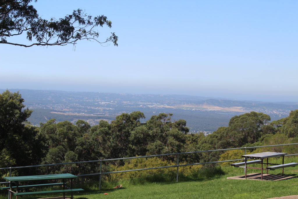 Picnic Area Mount Sugarloaf Newcastle