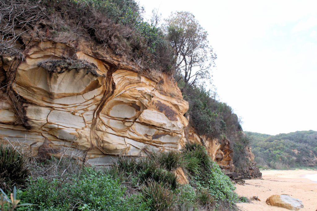 Rock Weathering Maitland Bay Track Bouddi National Park