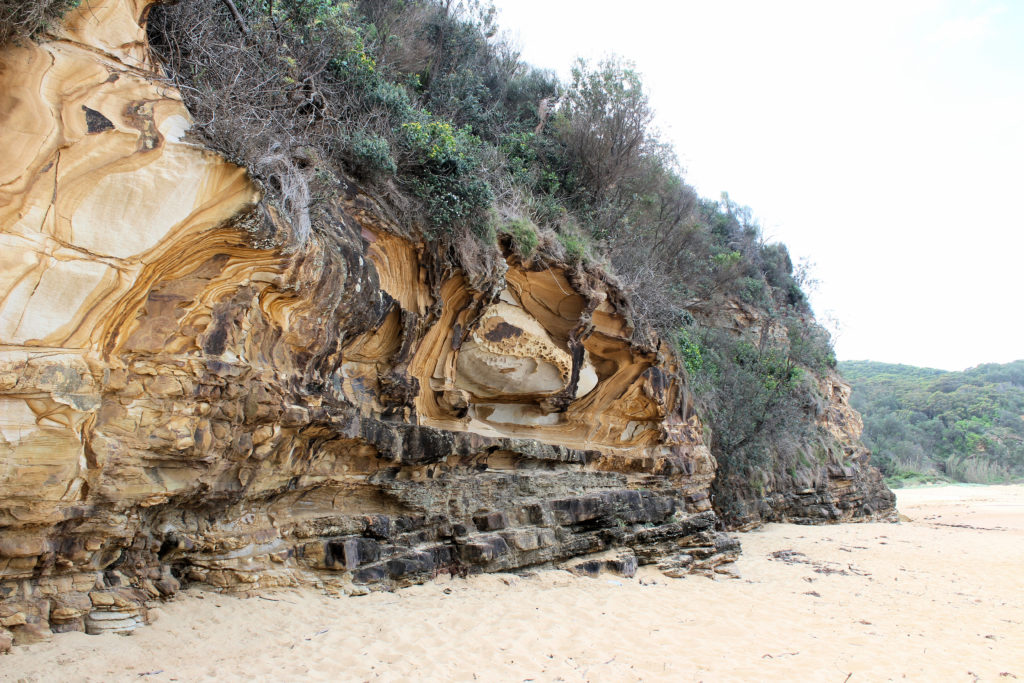 Rock Weathering Maitland Bay Track Bouddi National Park