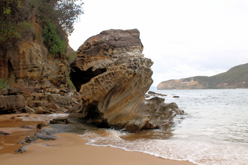 Bouddi Point Maitland Bay Track Bouddi National Park