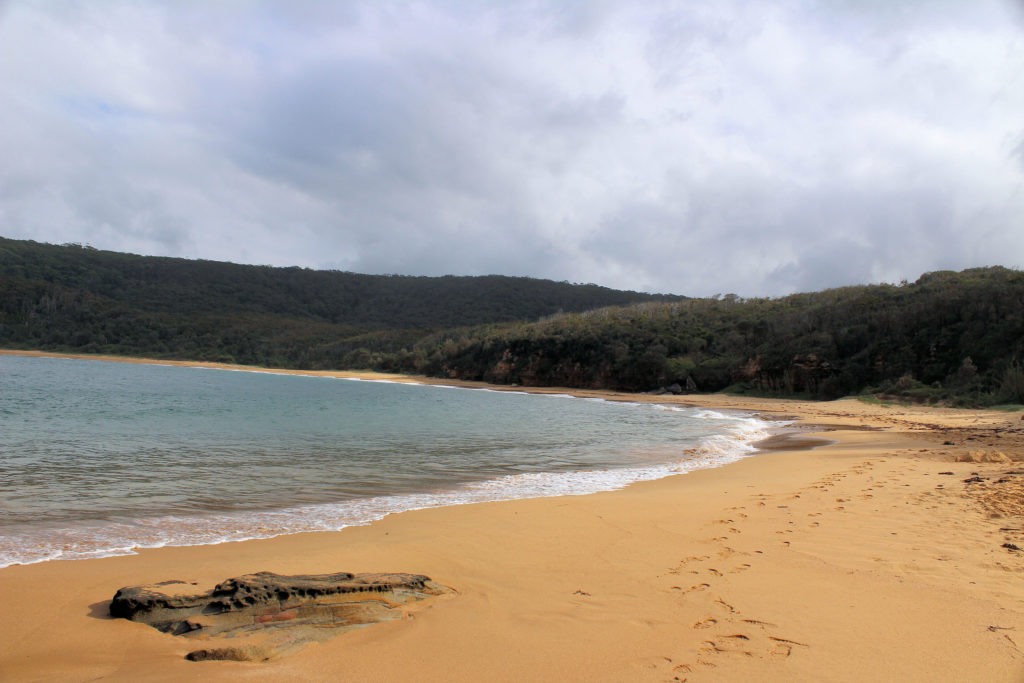 Maitland Bay Beach Bouddi National Park