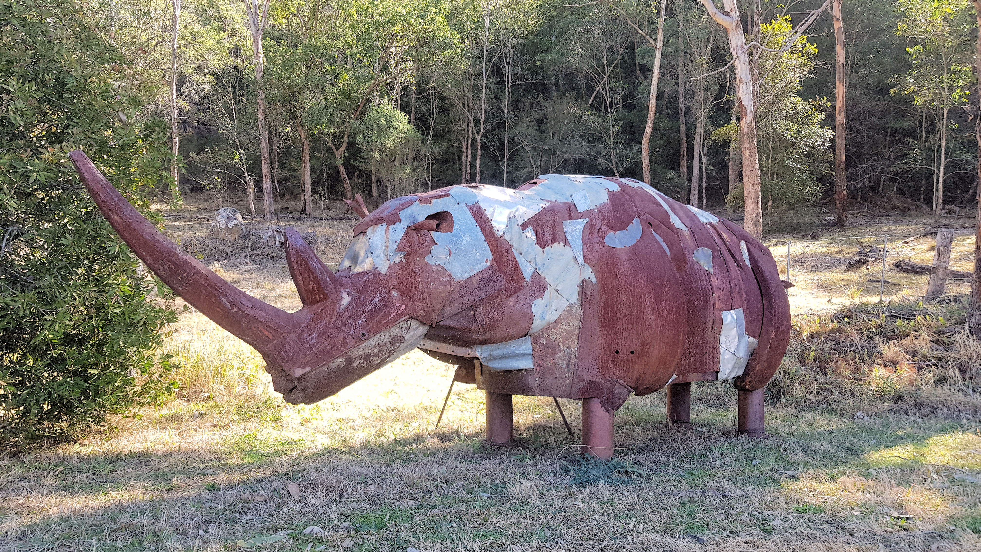 Rhino Sculpture Outside Wollombi