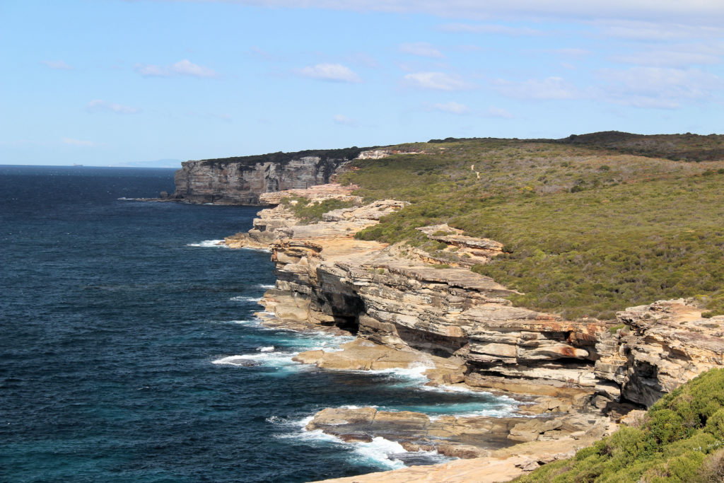 Royal National Park - Destination's Journey