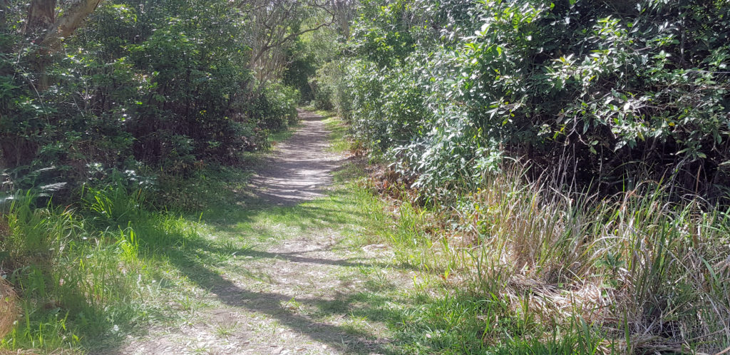 Walking Track to Port Stephens Lighthouse Shark Island Fingal Bay Port Stephens Australia