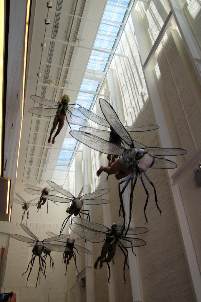 Dragonfly Men in the Atrium White Rabbit Gallery Ultimo Sydney Asutralia