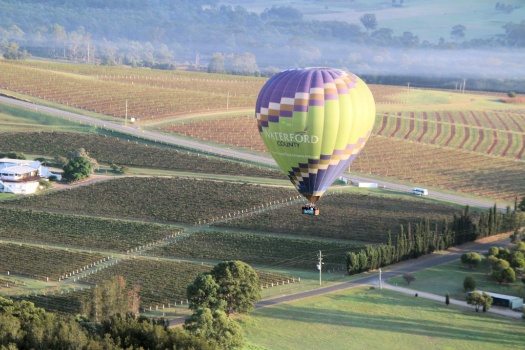 Balloon over Vineyards