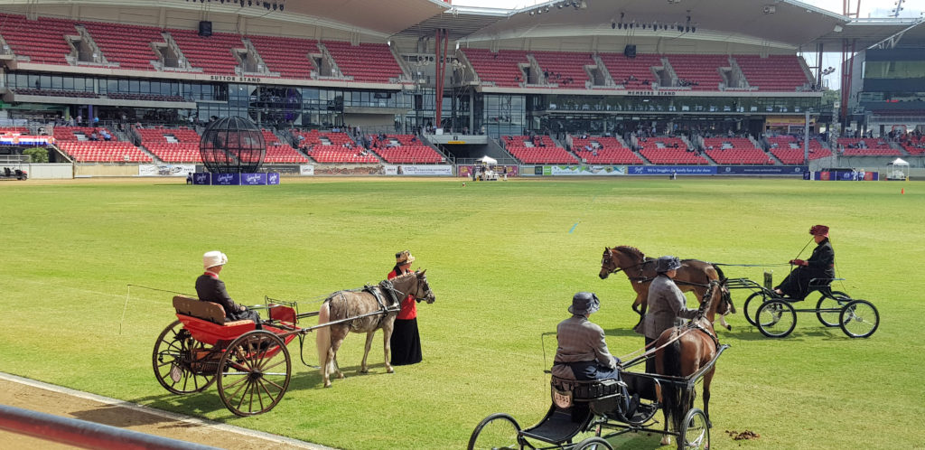 Horse and Buggy Competition