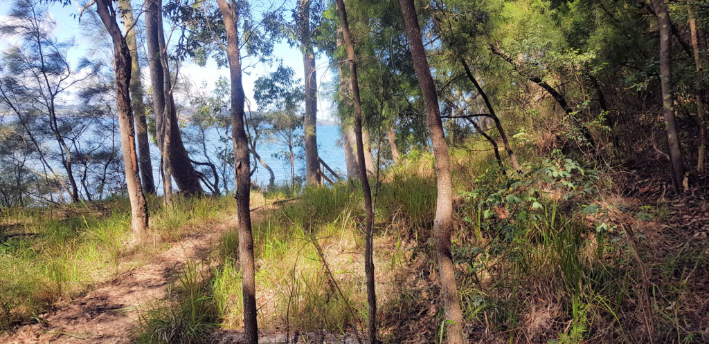 Walking Trail Lake Macquarie State Conservation Area