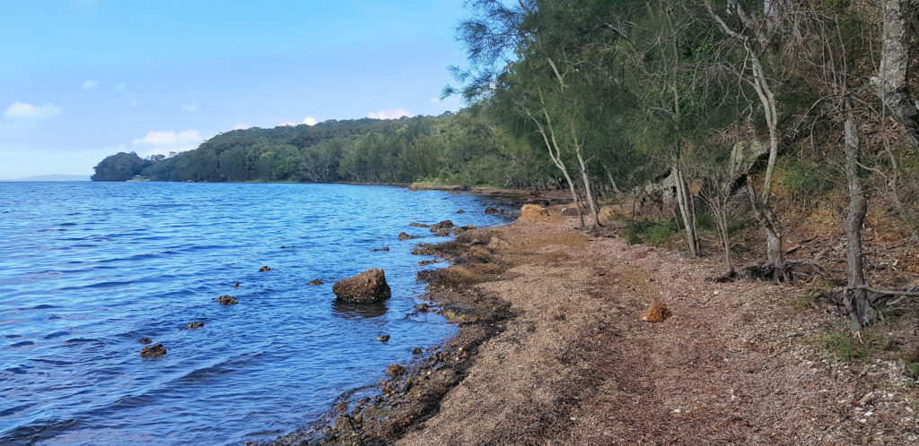 Lake Macquarie Shore Line