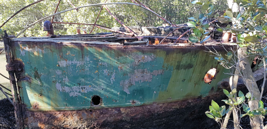 SS Heroic in Mangroves