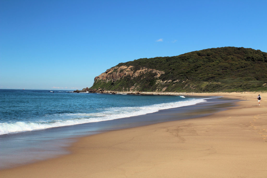 Burwood Beach Glenrock State Conservation Area