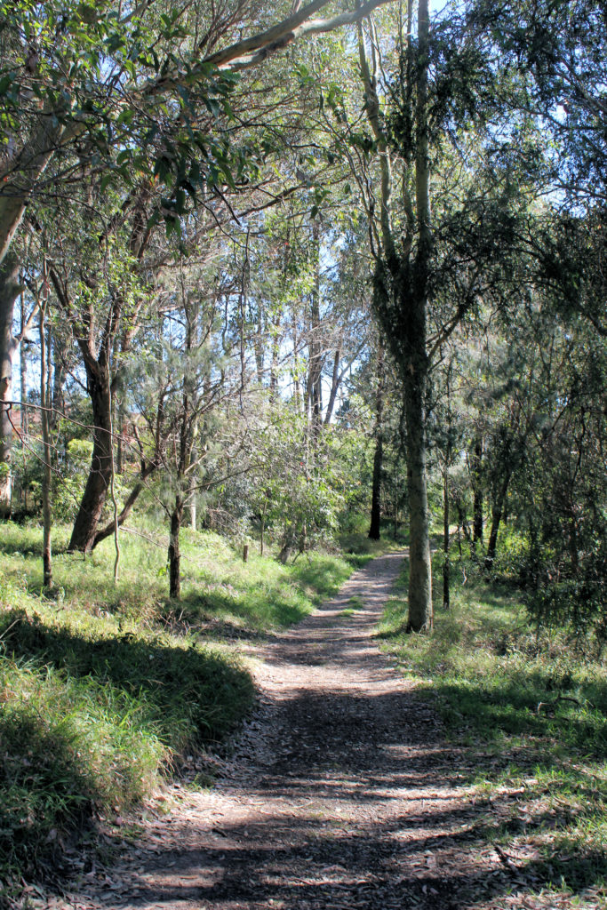 Walking Track