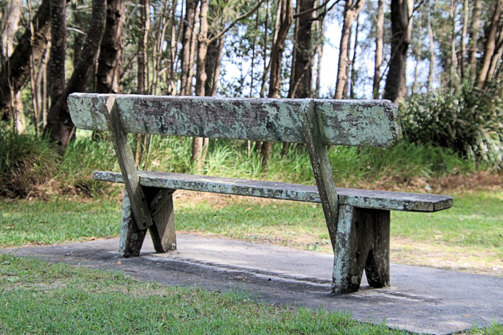 Old Park Bench