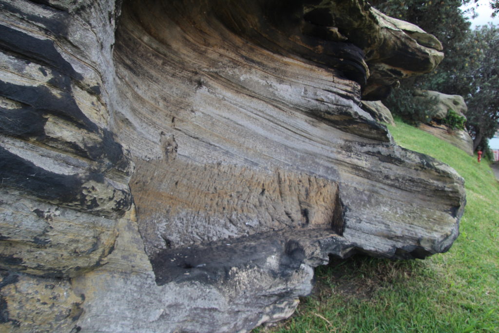 Boney Anderson's Bed Goat Island