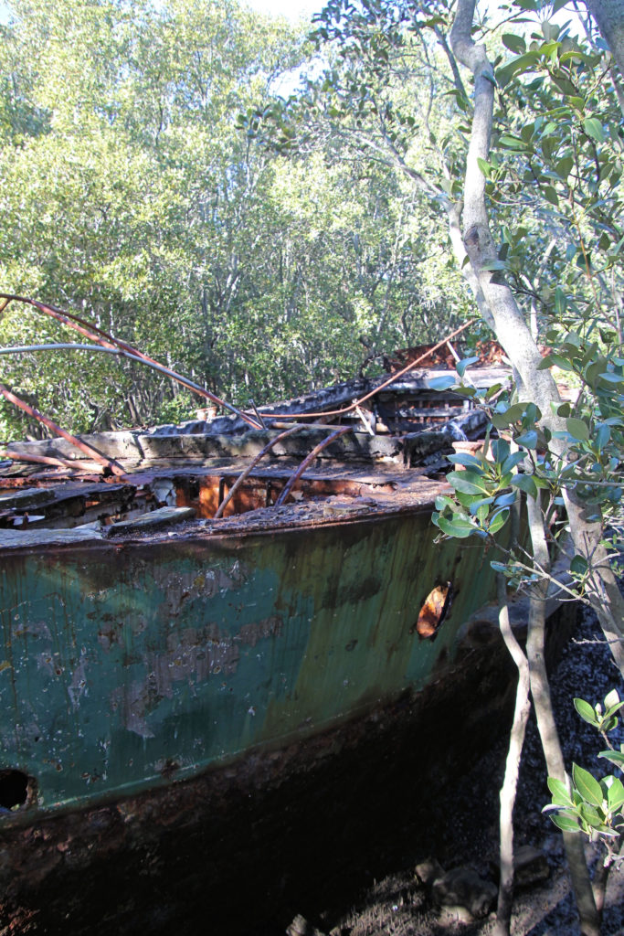 SS Heroic in Mangroves