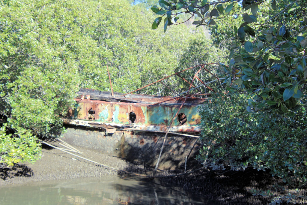 SS Heroic in Mangroves