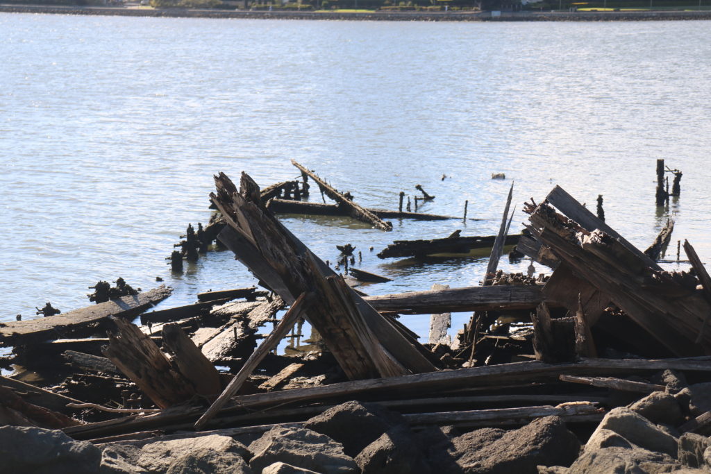 Wrecked Barges Homebush Bay