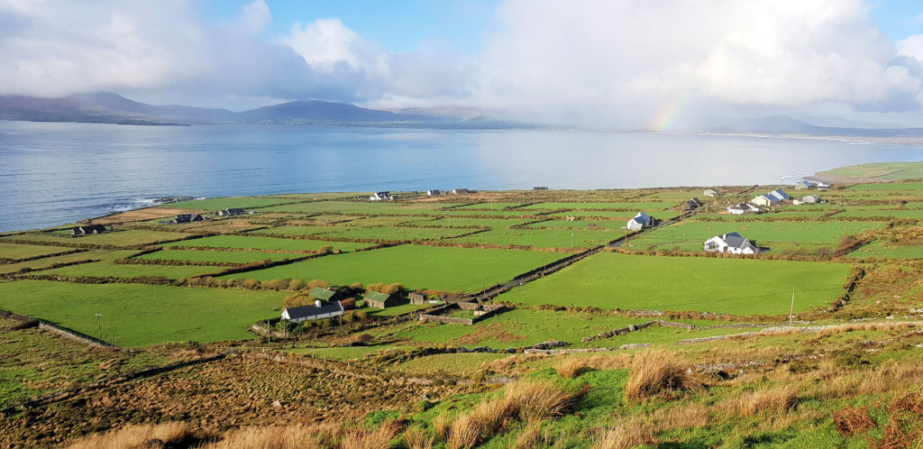 Scenic View From the Ring of Kerry